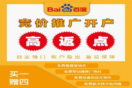 关键词竞价排名案例解析与启示